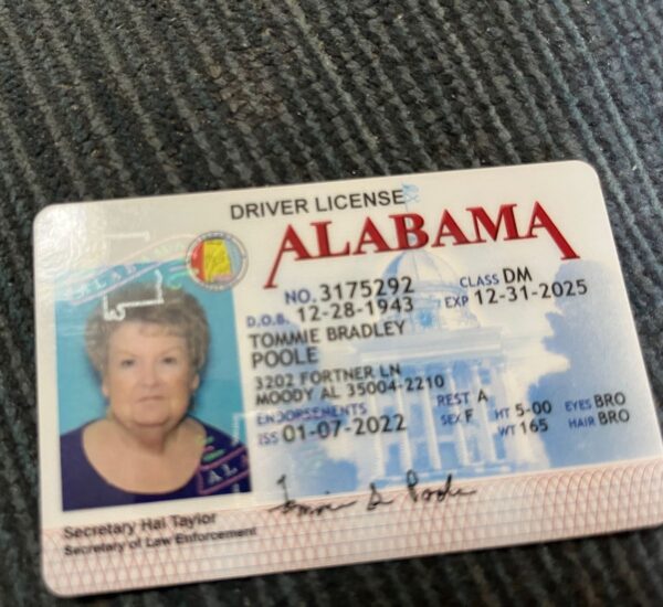 Alabama Driver's License for sale