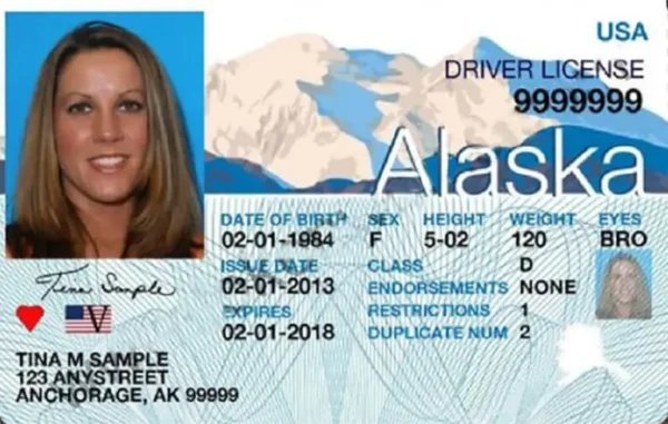 Alaska Driver's License