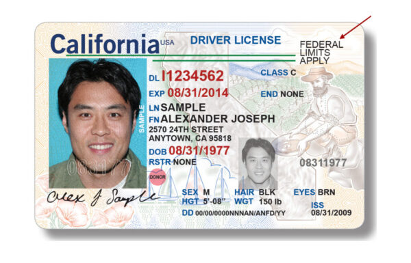 California Driver's License