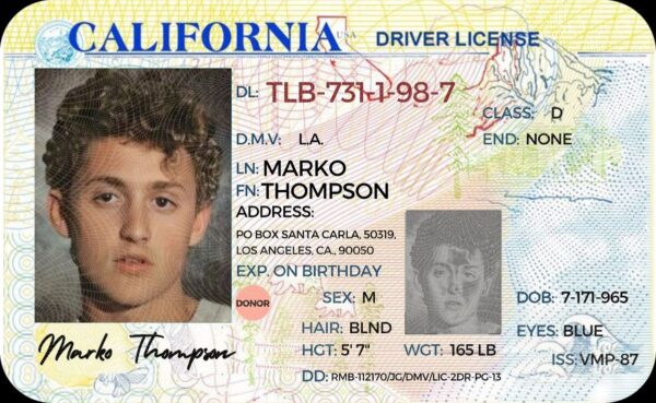 California Driver's License