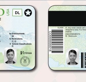 Buy Drivers License Online