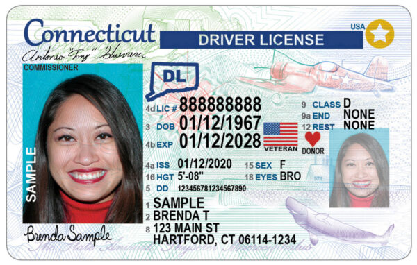 Connecticut Driver's License