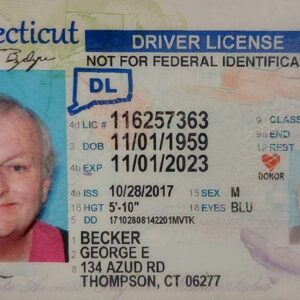 Connecticut Driver’s License