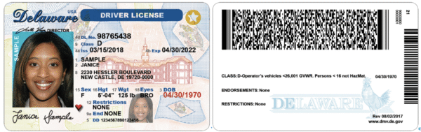 Delaware Driver's License