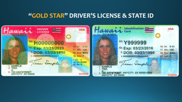Hawaii Driver's License