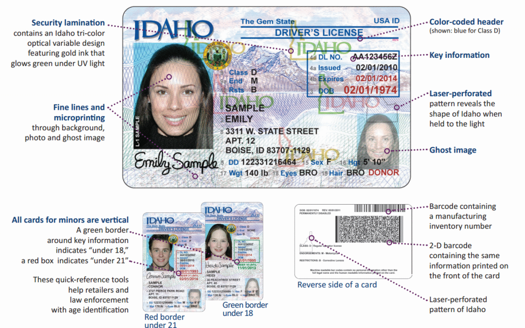 🪪 Real Databased Registered DL Online – Buy Real Driver License Online Safely & Fast!