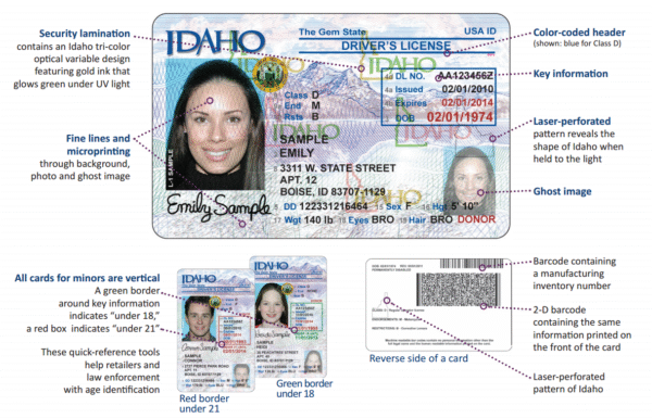 Real databased registered DL online