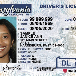 How to Buy a Driver’s License Legally Online in 2025