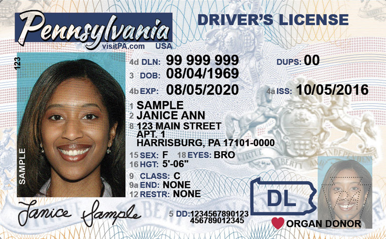 🚘 How to Buy a Driver’s License Legally Online in 2025 🛂✨