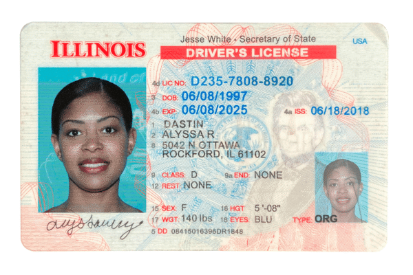 Illinois Driver's License